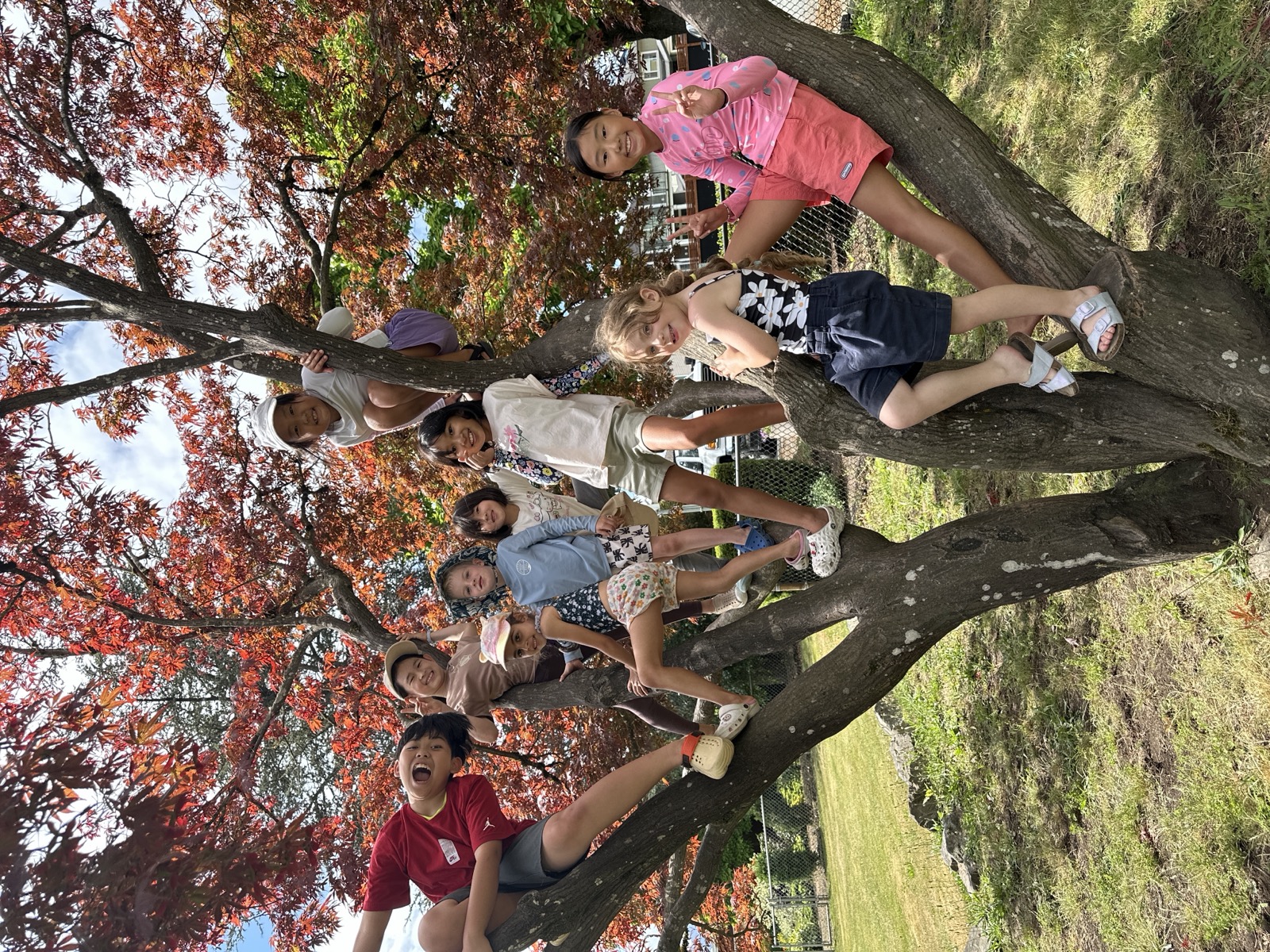 Field trip outdoors with Unity Taekwondo summer camp