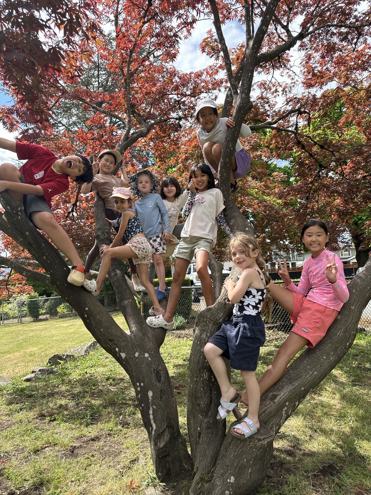 Field trip outdoors with Unity Taekwondo summer camp