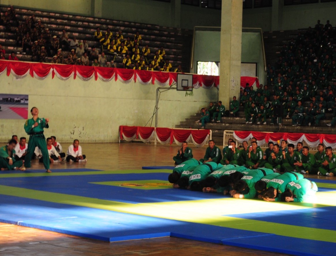 Master Deokho Nam leading a martial arts demonstration before a large crowd